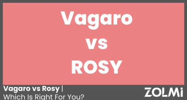 Compare Vagaro vs Rosy 2024