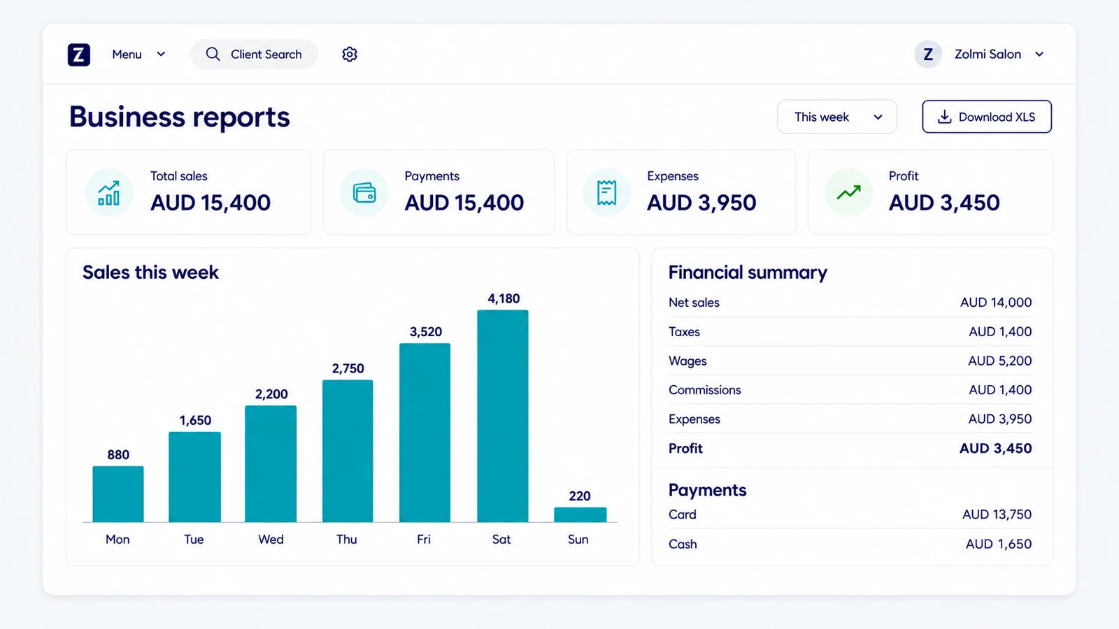 Salon business report showing revenue, payments, profit, and monthly figures in USD.