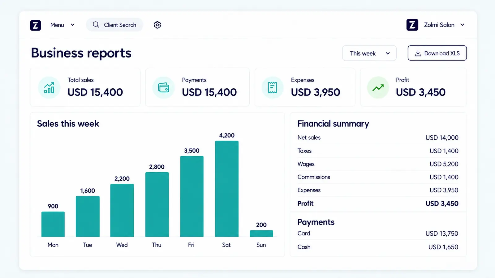 Salon business report showing revenue, payments, profit, and monthly figures in USD.